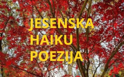 Haiku poezija