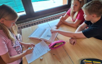 Referentna zbirka u 4. a