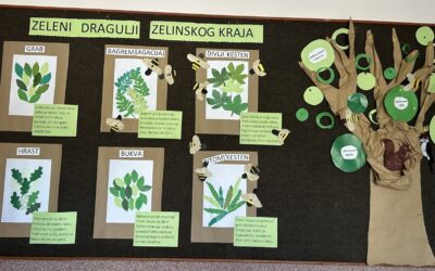  ZELENI DRAGULJI ZELINSKOG KRAJA