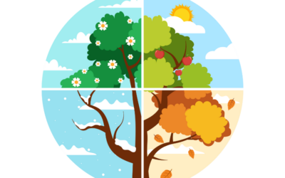 Project: Seasons