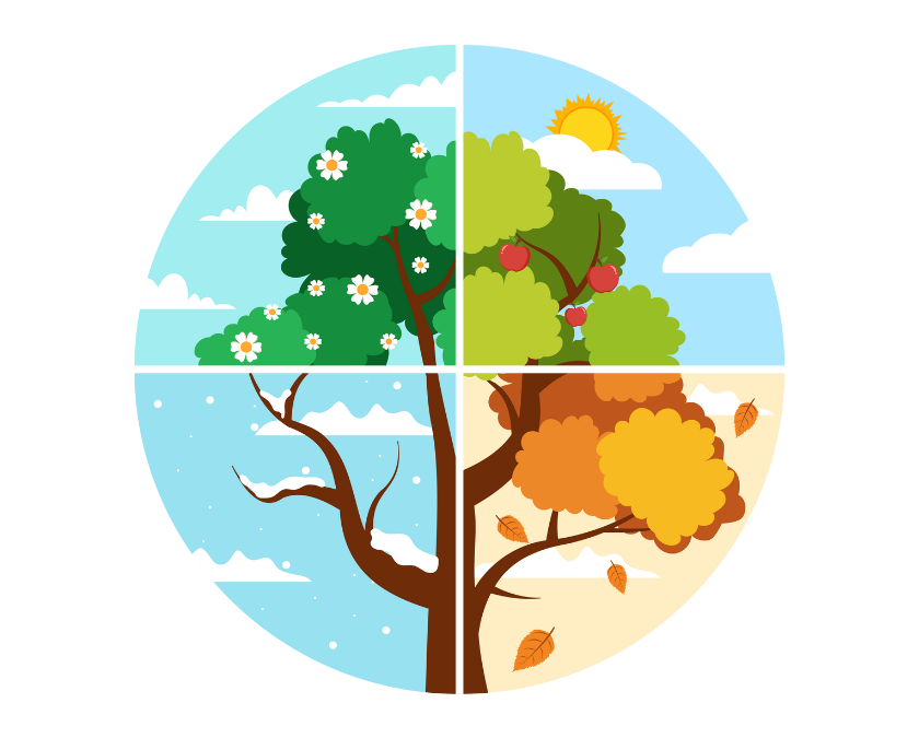 Project: Seasons