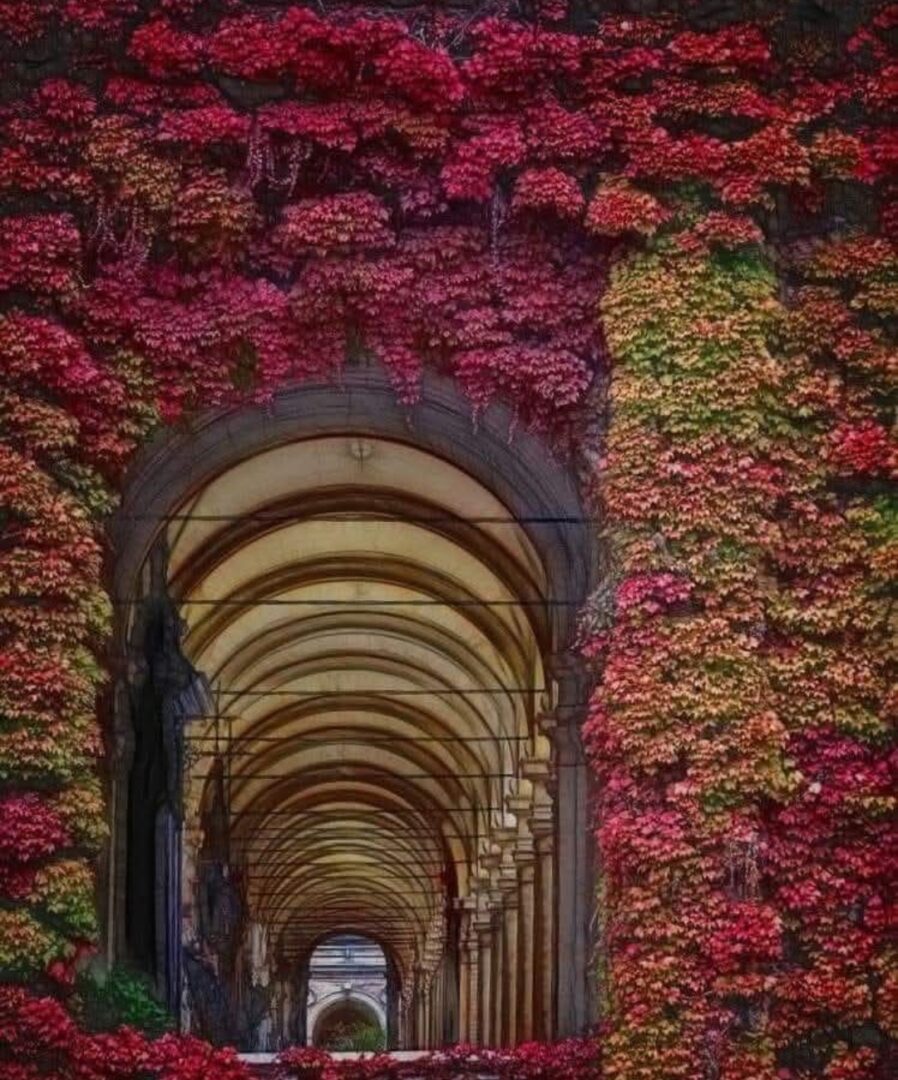 tempFileForShare_20251102-143114