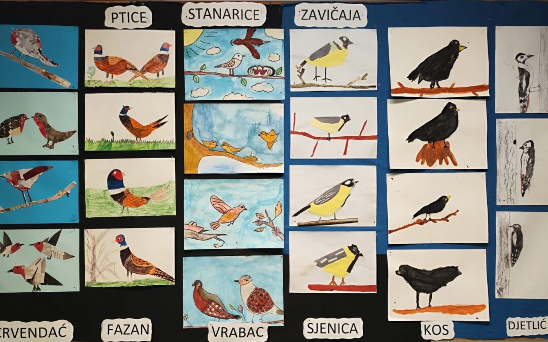 PROJEKT „PTICE ZAVIČAJA“