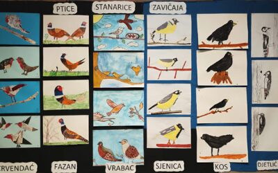 PROJEKT „PTICE ZAVIČAJA“