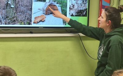 ŠUME ZELINSKOG KRAJA I ŽIVI SVIJET U NJIMA