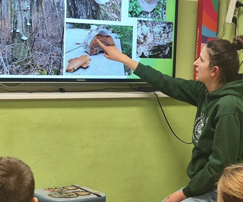 ŠUME ZELINSKOG KRAJA I ŽIVI SVIJET U NJIMA