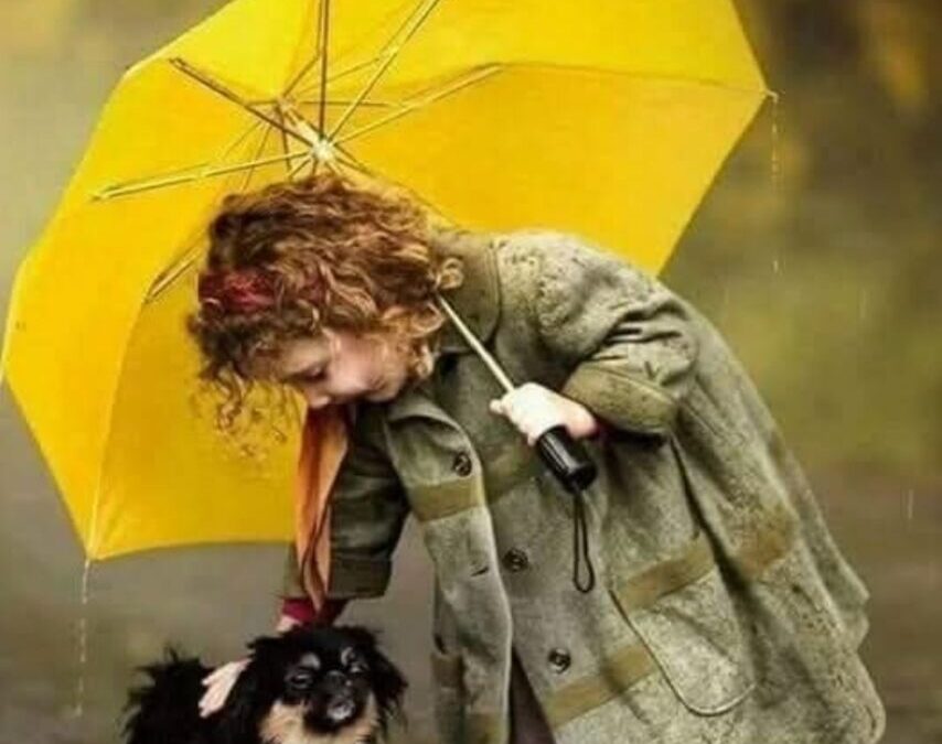 Još ima nade za ovaj svijet