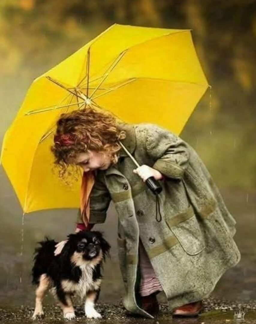 tempFileForShare_20260202-084243