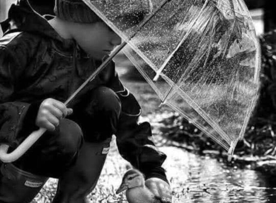 Nježnost nije za slabe ljude