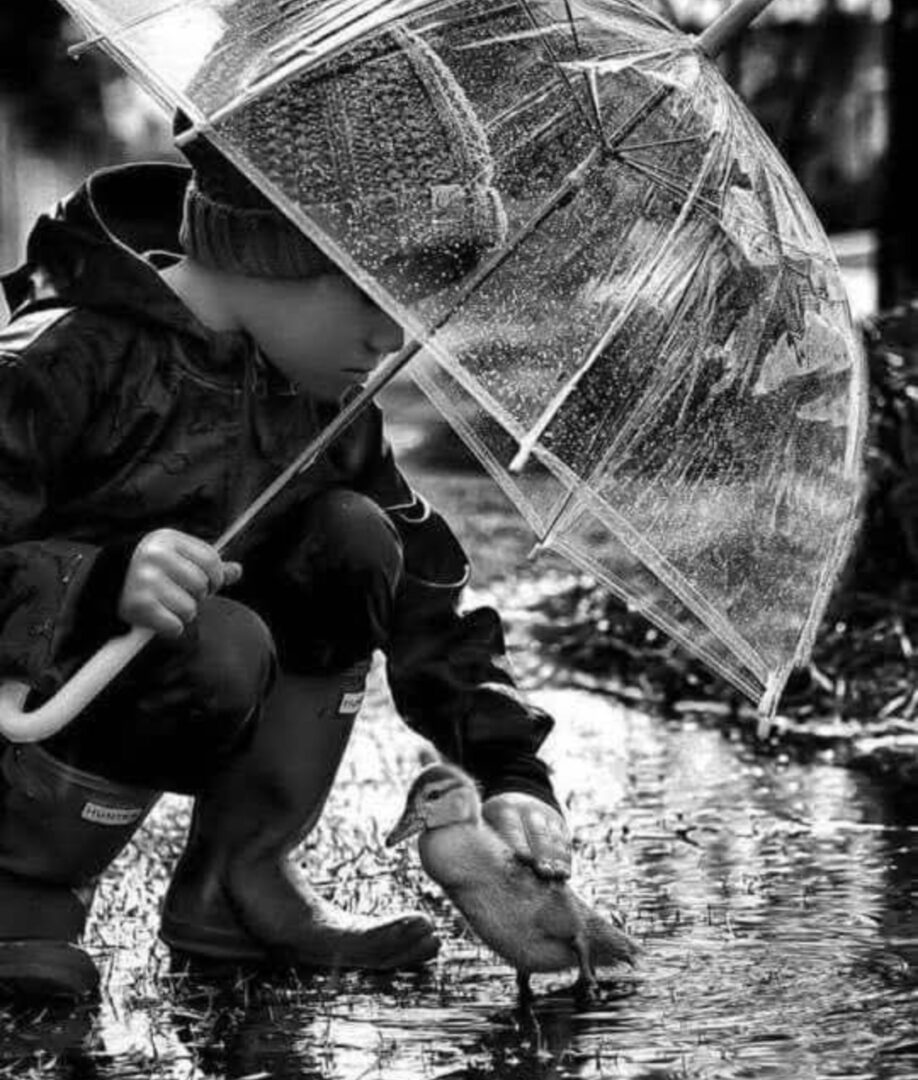 tempFileForShare_20260227-063326