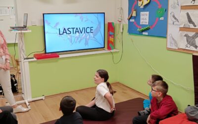 DAN LASTAVICA U PRODUŽENOM BORAVKU