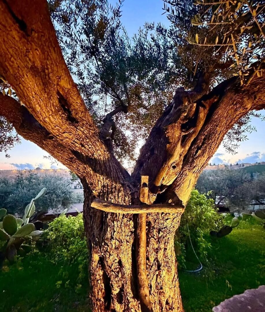 tempFileForShare_20260328-103409